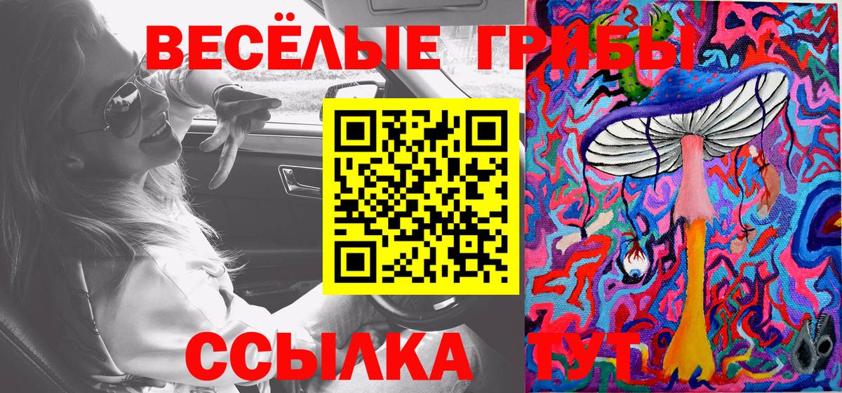 Галлюциногенные грибы Magic Shrooms  Вход с VPN  Псилоцибиновые грибы Psilocybe  Сорочинск 